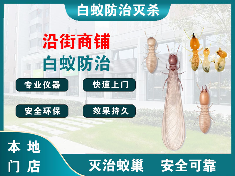越城沿街商铺白蚁防治