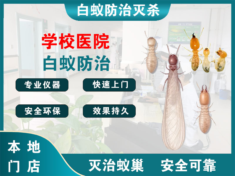 越城学校医院白蚁防治