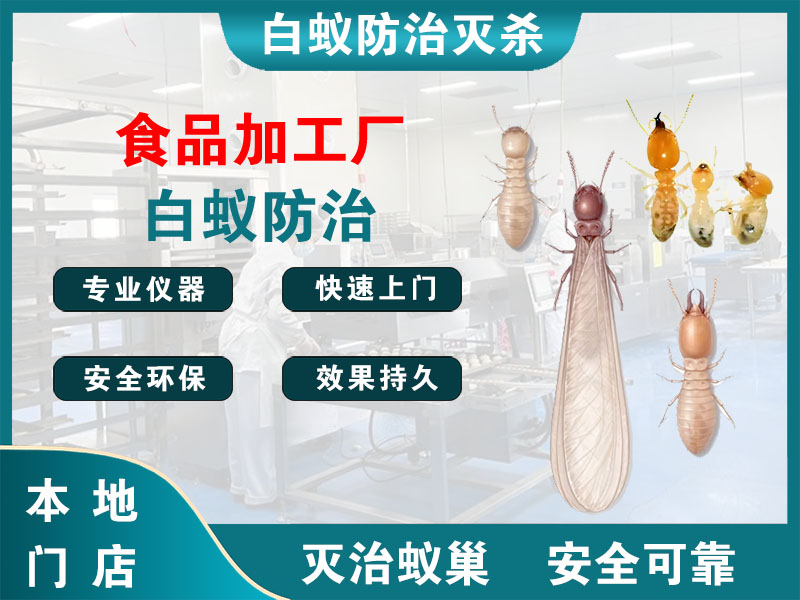 越城食品加工厂白蚁防治