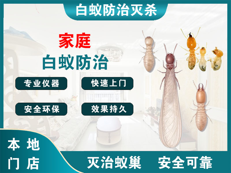 越城家庭白蚁防治
