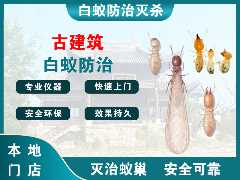 越城古建筑白蚁防治