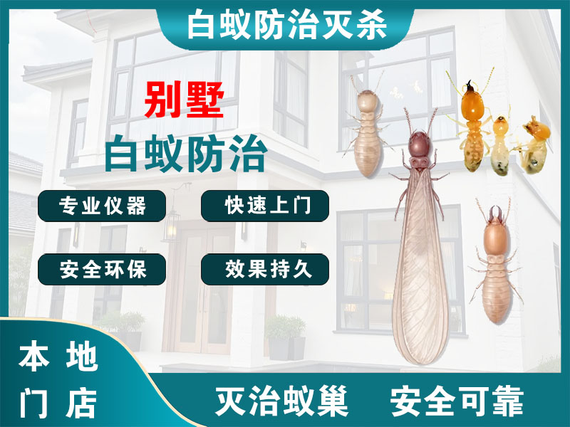 越城别墅白蚁防治