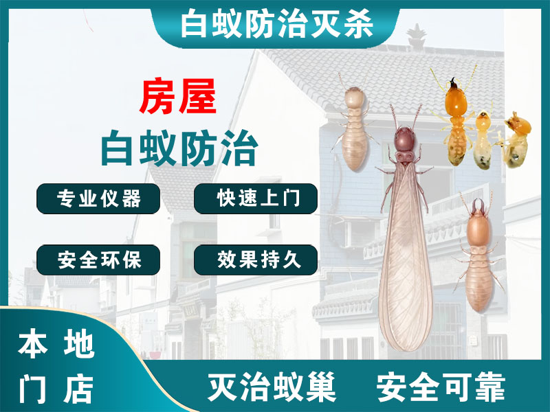 越城房屋白蚁防治